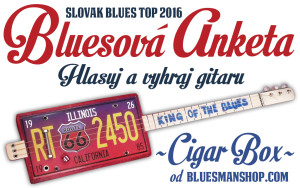 Bluesova-Anketa-2015-1